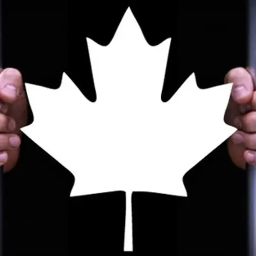 Image de de 2 mains tenant des barreaux avec une feuille d'érable au milieu