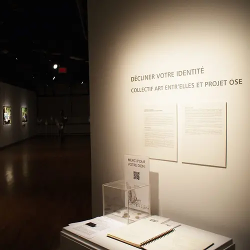 Exposition Décliner votre identité (Lancement à la Maison de la culture NDG, 2015) 